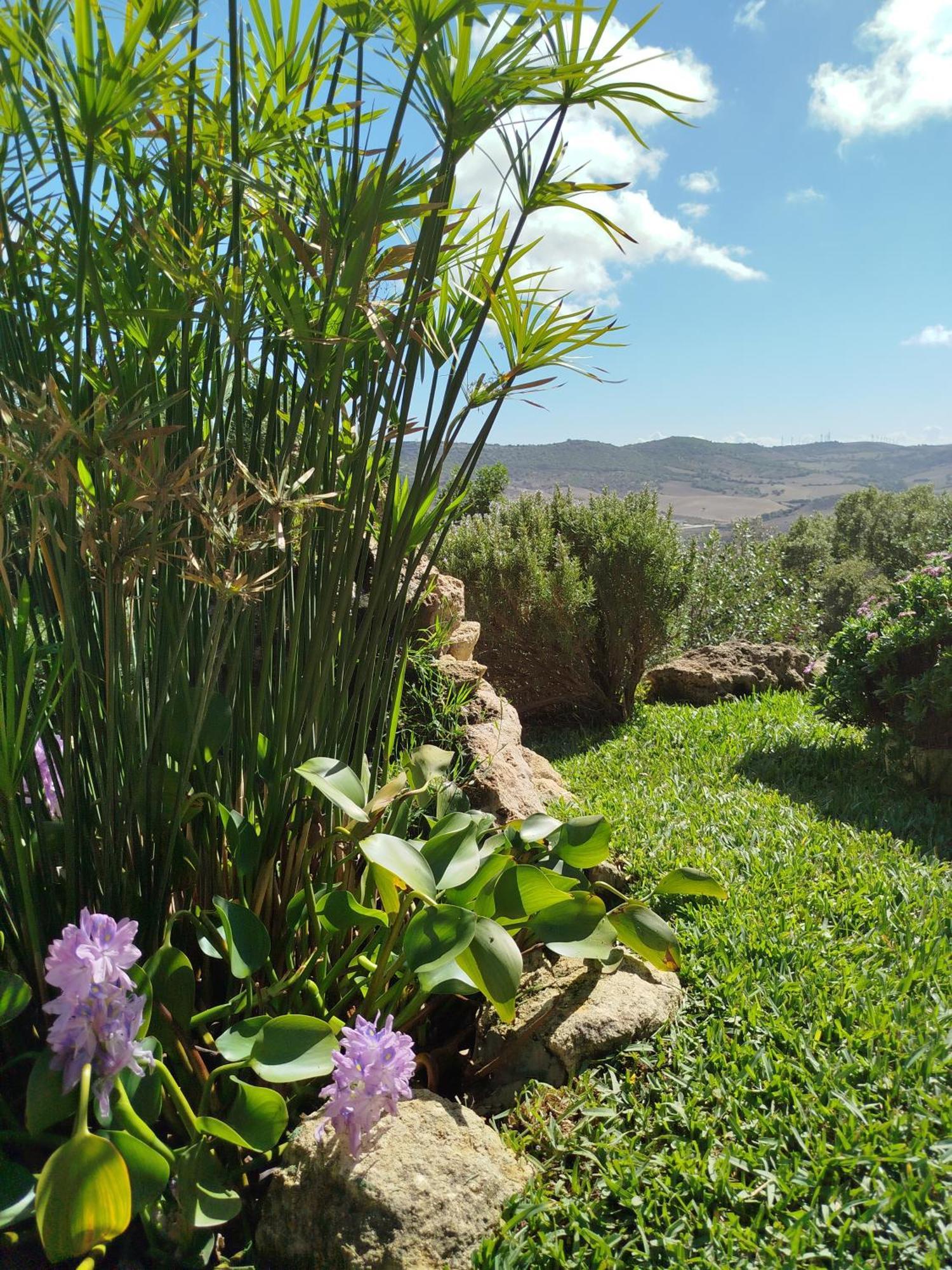 Casa Montecote Eco Resort Vejer de la Frontera Kültér fotó